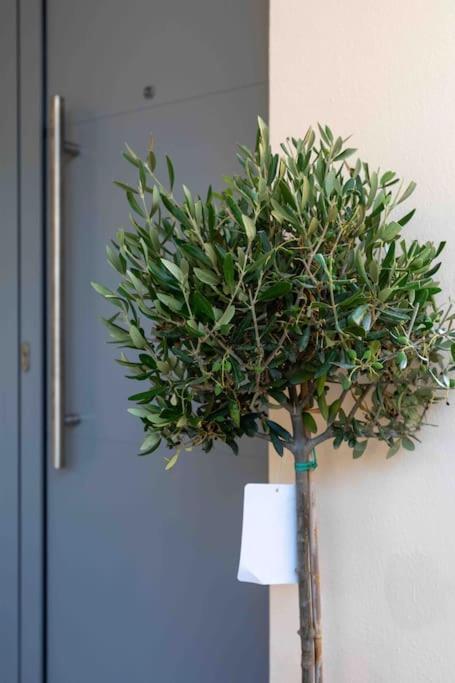 Luxury Cozy Appartment In The City Center Rhodes City エクステリア 写真