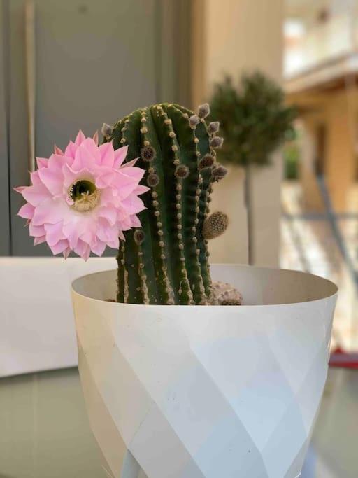 Luxury Cozy Appartment In The City Center Rhodes City エクステリア 写真